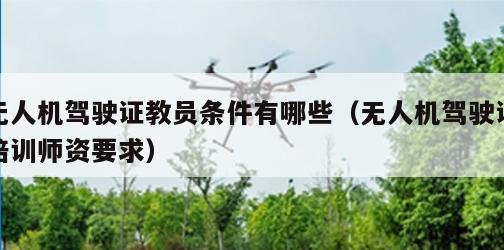 无人机驾驶证教员条件有哪些（无人机驾驶证培训师资要求）