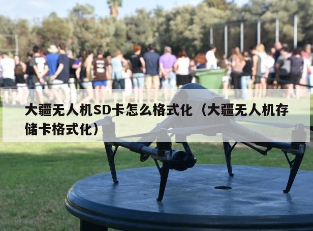 大疆无人机SD卡怎么格式化（大疆无人机存储卡格式化）