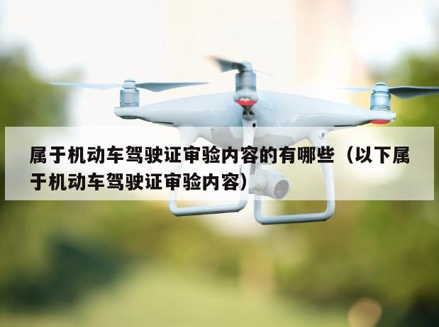 属于机动车驾驶证审验内容的有哪些（以下属于机动车驾驶证审验内容）