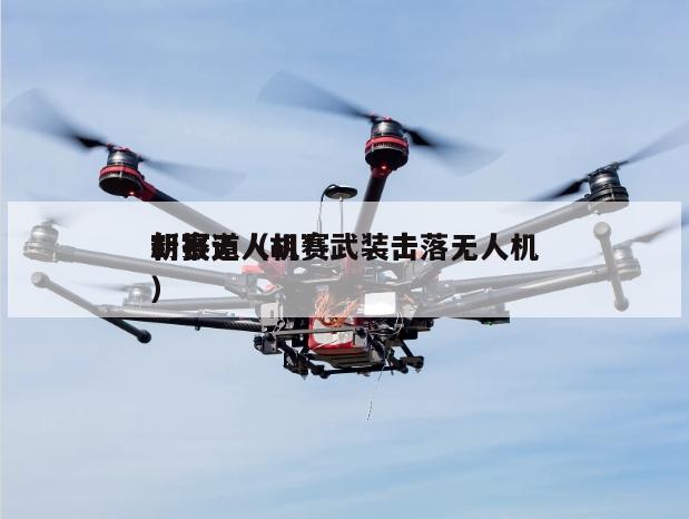 胡赛无人机*新报道（胡赛武装击落无人机）