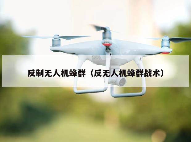 反制无人机蜂群（反无人机蜂群战术）