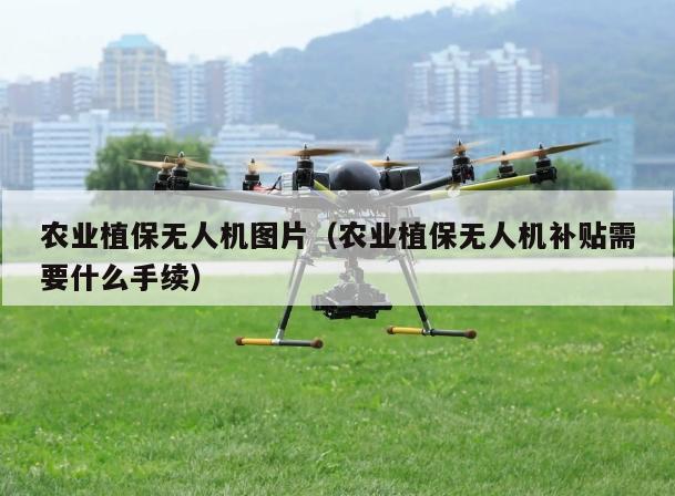 农业植保无人机图片（农业植保无人机补贴需要什么手续）