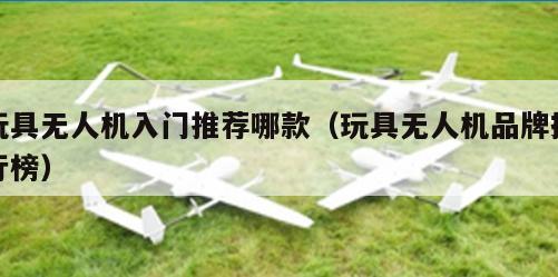 玩具无人机入门推荐哪款（玩具无人机品牌排行榜）