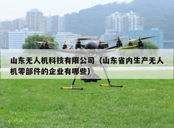 山东无人机科技有限公司（山东省内生产无人机零部件的企业有哪些）