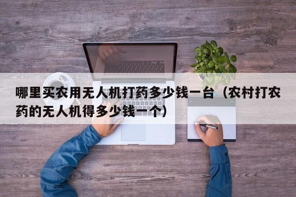 哪里买农用无人机打药多少钱一台（农村打农药的无人机得多少钱一个）