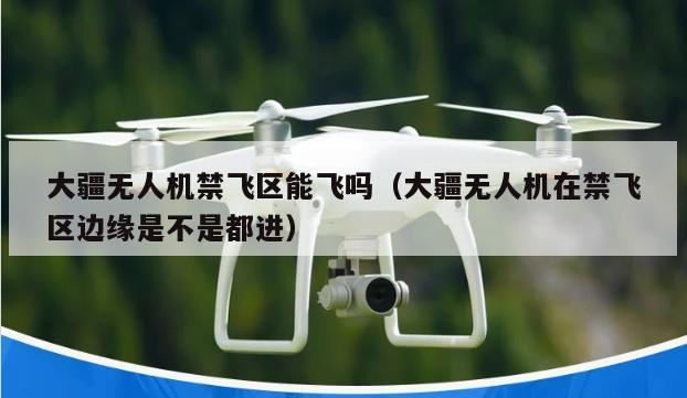 大疆无人机禁飞区能飞吗（大疆无人机在禁飞区边缘是不是都进）