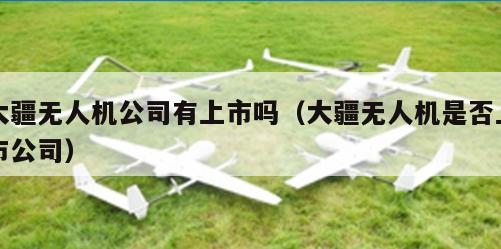 大疆无人机公司有上市吗（大疆无人机是否上市公司）